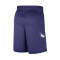 Jordan Charlotte Hornets Statement Edition Shorts