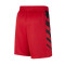 Jordan Portland Trail Blazers Statement Edition Shorts