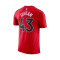 Camiseta Nike Toronto Raptors Pascal Siakam