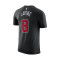 Jordan Chicago Bulls Essential Statement Edition Zach Lavine T-Shirt