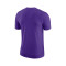 Nike Los Angeles Lakers Essential Logo T-Shirt
