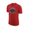Camiseta Nike Toronto Raptors