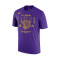 Camiseta Nike Los Angeles Lakers Courtside Max90