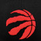 MITCHELL&NESS Team Ground 2.0 Snapback Toronto Raptors Cap