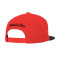 MITCHELL&NESS Team 2 Tone 2.0 Snapback NBA Chicago Bulls Cap