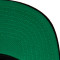 Gorra Mitchell & Ness Boston Celtics Team 2 Tone 2.0 Snapback