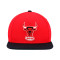 Mitchell & Ness Chicago Bulls Team 2 Tone 2.0 Snapback Cap