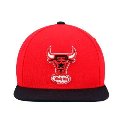 Gorra Chicago Bulls Team 2 Tone 2.0 Snapback