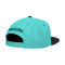 Casquette MITCHELL&NESS Team 2 Tone 2.0 Snapback Vancouver Grizzlies