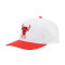 Mitchell & Ness Team 2 Tone 2.0 Pro Snapback Chicago Bulls Cap