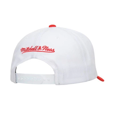 Sacramento Kings Team 2 Tone 2.0 Pro Snapback Cap