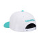Casquette MITCHELL&NESS Team 2 Tone 2.0 Pro Snapback Vancouver Grizzlies