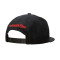 Mitchell & Ness Champs Snapback Chicago Bulls 1991-1992 Cap