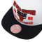 Gorra Mitchell & Ness Chicago Bulls Back To 93 Snapback