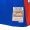 Camiseta MITCHELL&NESS NBA Swingman Jersey All Star - Allen Iverson 2004