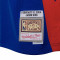 Camiseta Mitchell & Ness NBA Swingman Jersey All-Star - Jason Kidd 2004
