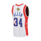 Camiseta MITCHELL&NESS NBA Jersey All Star - Ray Allen 2004