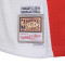 Camiseta Mitchell & Ness NBA Jersey All Star - Shaquille ONeal 2004