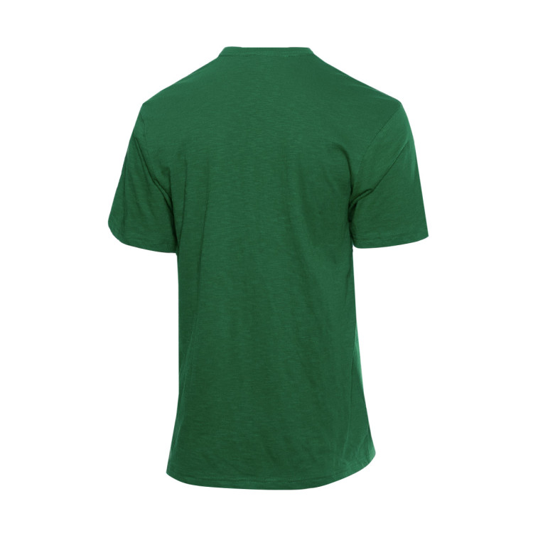 camiseta-mitchellness-legendary-slub-boston-celtics-verde-1