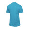 Mitchell & Ness Legendary Slub Charlotte Hornets T-Shirt