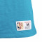 Camiseta MITCHELL&NESS Legendary Slub Charlotte Hornets