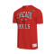 Camiseta MITCHELL&NESS Legendary Slub Chicago Bulls