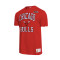 Camiseta Mitchell & Ness Legendary Slub Chicago Bulls