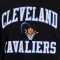 Camiseta MITCHELL&NESS Legendary Slub Cleveland Cavaliers