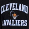 Mitchell & Ness Legendary Slub Cleveland Cavaliers T-Shirt