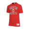 Maillot MITCHELL&NESS Legendary Slub Houston Rockets