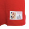 Camiseta MITCHELL&NESS Legendary Slub Houston Rockets