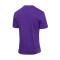 Mitchell & Ness Legendary Slub Toronto Raptors T-Shirt