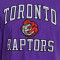 Camisola MITCHELL&NESS Legendary Slub Toronto Raptors