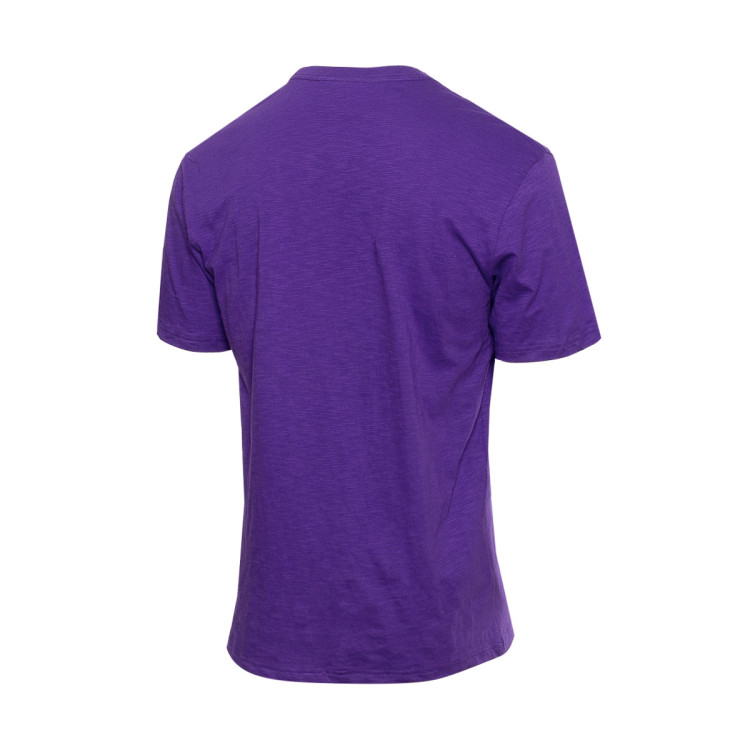 camiseta-mitchellness-legendary-slub-toronto-raptors-purpura-1