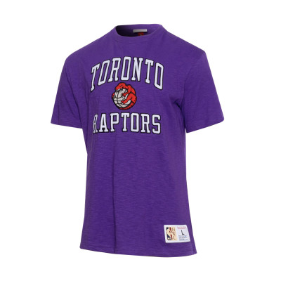 Camiseta Legendary Slub Toronto Raptors