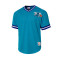 Mitchell & Ness Fashion Mesh V-Neck Charlotte Hornets T-Shirt