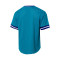 Maglia MITCHELL&NESS Fashion Mesh V-Neck Charlotte Hornets