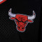 Camiseta MITCHELL&NESS Fashion Mesh V-Neck Chicago Bulls