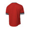 Maillot MITCHELL&NESS Fashion Mesh V-Neck Miami Heat