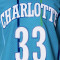 Maglia MITCHELL&NESS Swingman Jersey Charlotte Hornets - Alonzo Mourning 1992-93