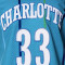 Maillot MITCHELL&NESS Swingman Charlotte Hornets - Alonzo Mourning 1992-93