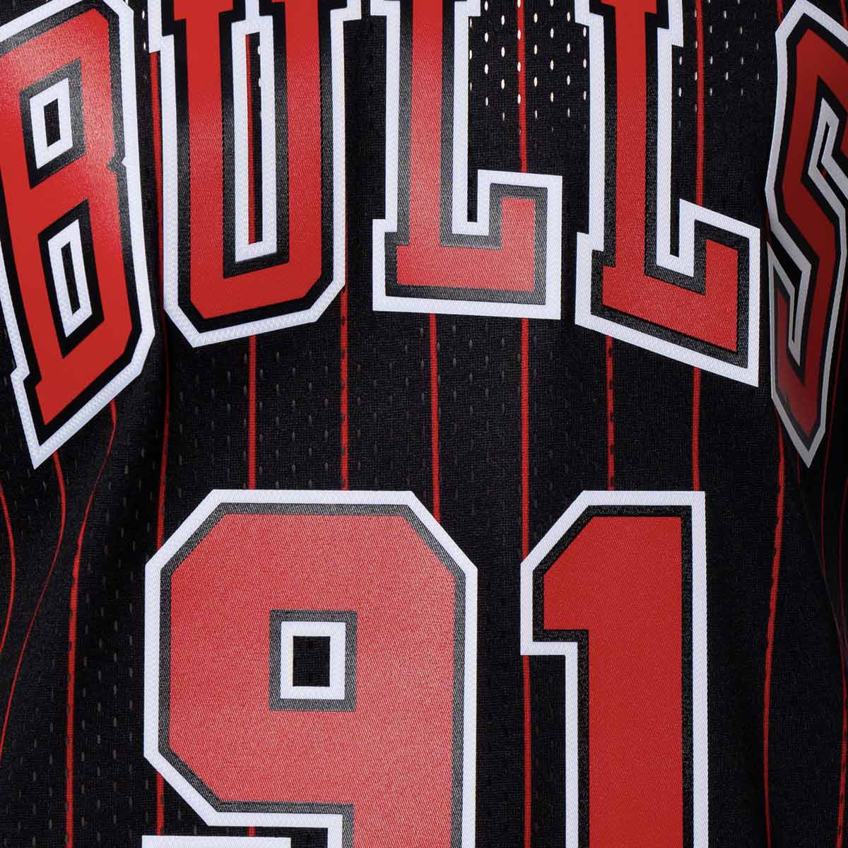 Camiseta chicago bulls dennis rodman online