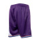 Mitchell & Ness Swingman Utah Jazz 1996 Shorts