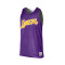 Top Mitchell & Ness Reversible Mesh Practice Tank Vintage Los Angeles Lakers