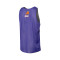 Mitchell & Ness Reversible Mesh Practice Tank Vintage Phoenix Suns Top 