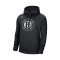 Nike Brooklyn Nets Essential Logo Sweatshirt