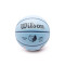 Wilson NBA Player Icon Mini Ja Morant Ball