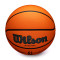 Wilson Evo NXT Basketball Africa League Ball