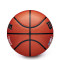 Ballon Wilson Jr NBA Family Logo Indoor Outdoor