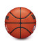 Pallone Wilson Jr NBA Family Logo Auth Outdoor